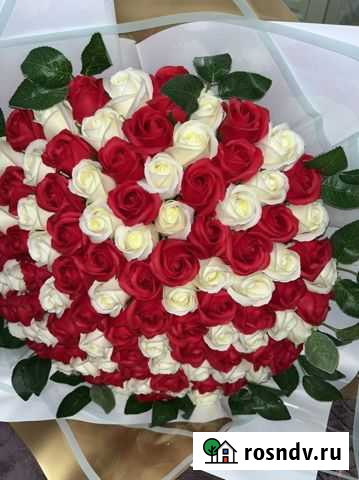 Роза Махачкала - изображение 1