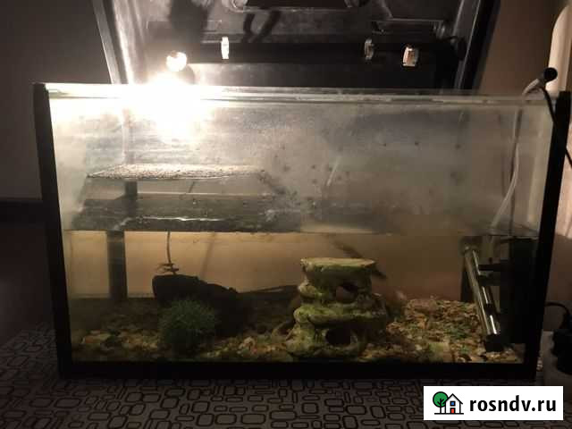 Террариум Тверь - изображение 1