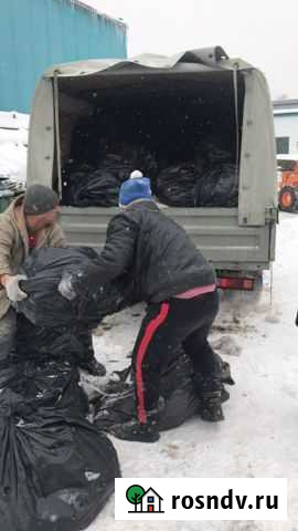 Вывоз мусора Фрязино - изображение 1
