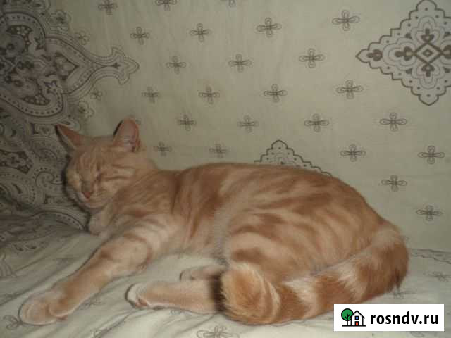 Ищу дом Волгоград - изображение 1