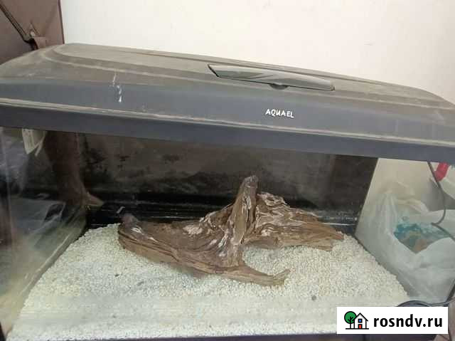 Аквариум Набережные Челны - изображение 1