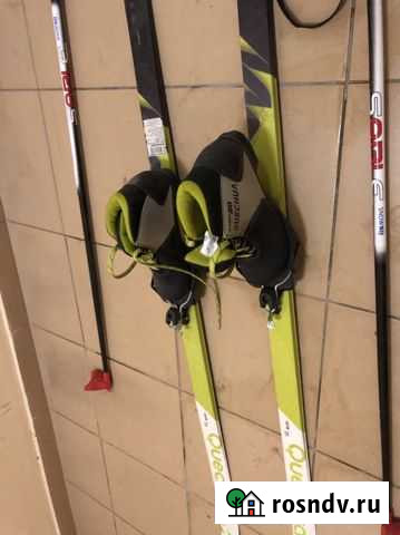 Беговые лыжи Реутов - изображение 1