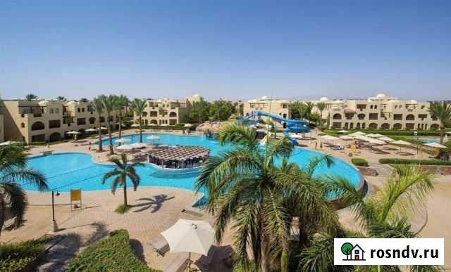 Старый-новый год на Красном море Санкт-Петербург - изображение 1