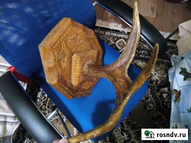 Рога лося на резной доске Вологда - изображение 1