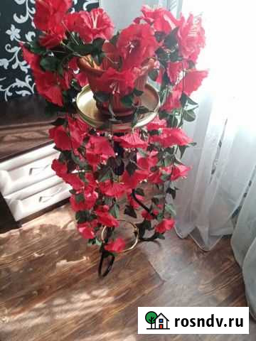 Цветы Киреевск - изображение 1