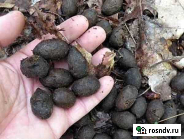 Навоз кроличий в мешках Светлогорск - изображение 1