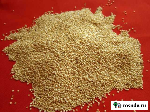 Амарант Калач - изображение 1