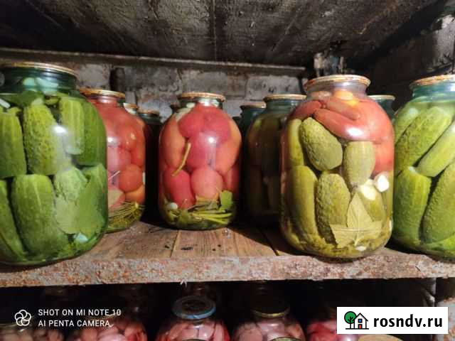 Соленья домашние Волжск - изображение 1