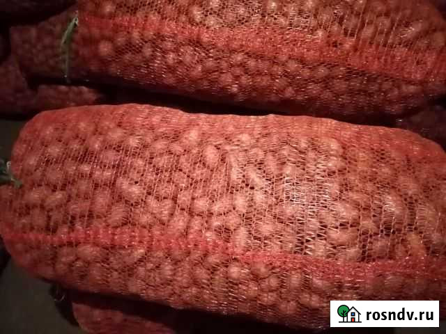 Мелкий картофель Исправная - изображение 1