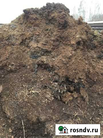 Навоз конский, перегной Мурмино - изображение 1