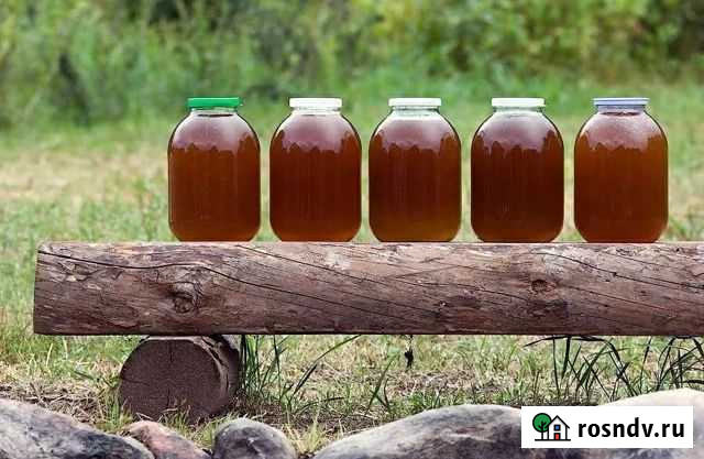 Мед от пчеловода свежий Йошкар-Ола - изображение 1