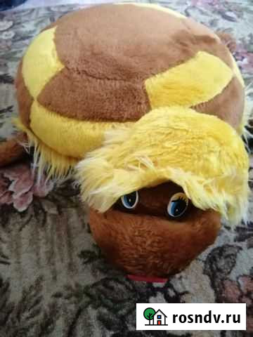 Черепаха Октябрьское - изображение 1