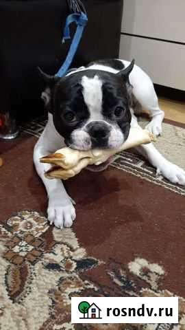 Ищем невесту Белгород - изображение 1