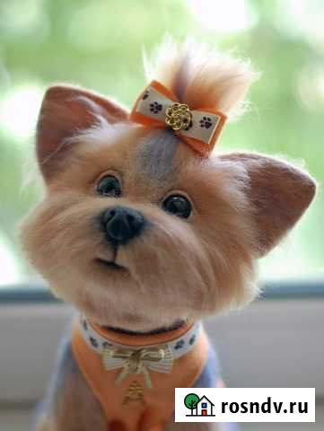 Груминг. Стрижка собак и кошек Северск - изображение 1