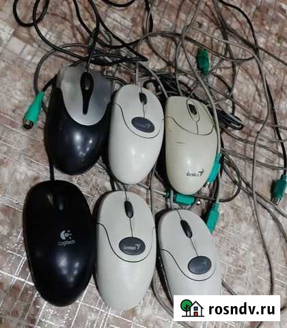 Мыши Зима - изображение 1