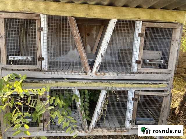 Клетка Красногвардейское - изображение 1