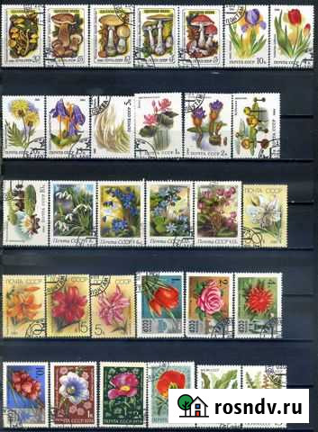 144 марки флора СССР, Украина, Венгрия, гдр Пятигорск - изображение 1