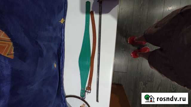 Ошейники кожанные Ялта - изображение 1