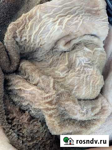 Мясо, рубец Сызрань - изображение 1