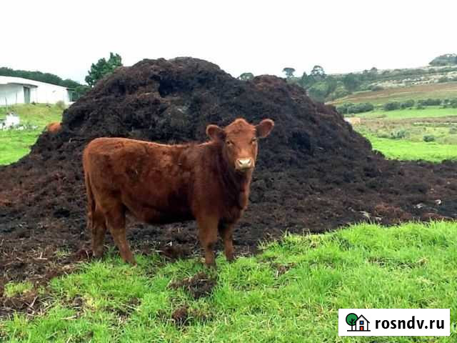 Перегной.Навоз.Земля 3 и 10 кубов Хабаровск - изображение 1