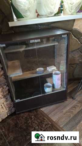 Витрина для шиншилл Багаевская - изображение 1