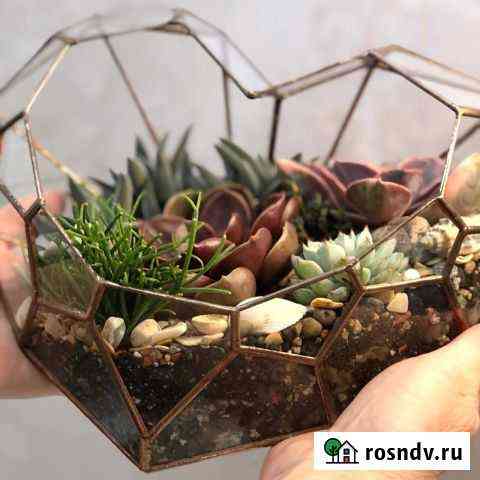 Флорариум Сердце большое ко дню Валентина. Форма в Долгопрудный