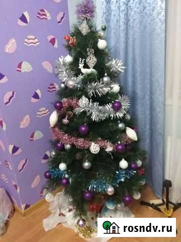 Продам ёлку пушистую (сосна) Псков - изображение 1