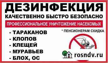 Уничтожение бытовых насекомых.дезинсекция. дезинфе Обнинск