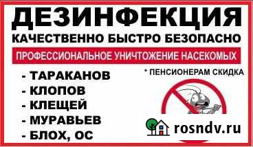 Уничтожение бытовых насекомых.дезинсекция. дезинфе Обнинск - изображение 1