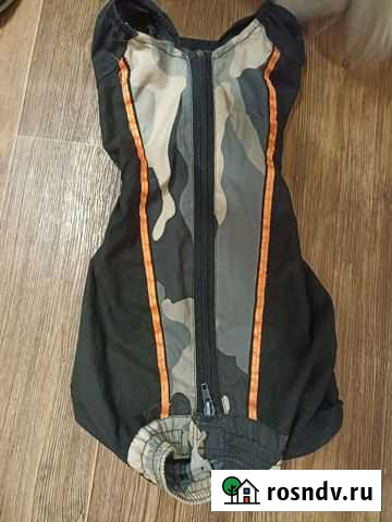 Одежда для собак, дождевик Великий Новгород - изображение 1