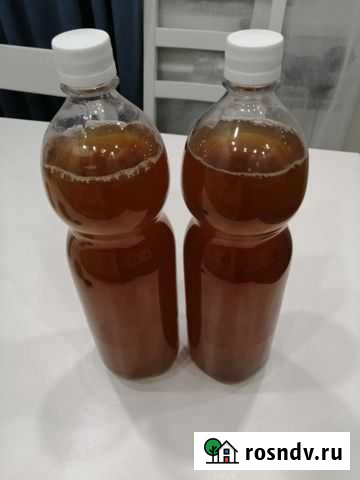 Солодовый концентрат Трехгорный - изображение 1