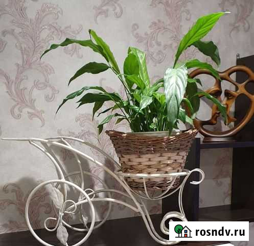 Подставка под кашпо Североморск - изображение 1