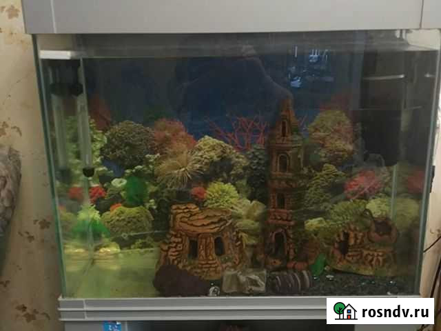 Аквариум-100л Салават - изображение 1