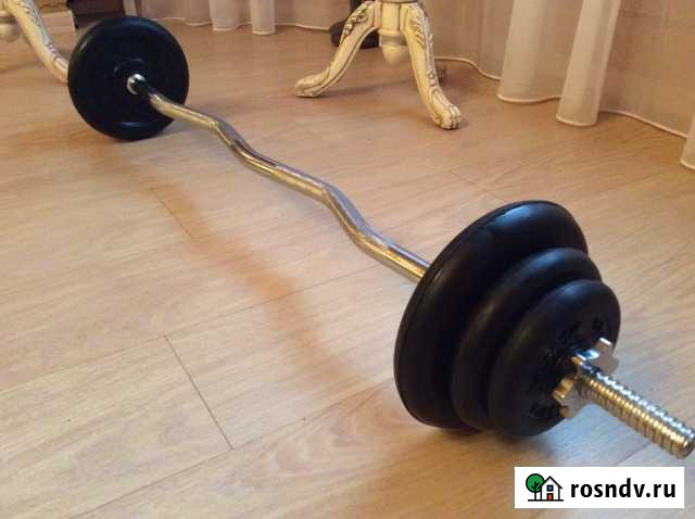 Штанга с изогнутым грифом Щербинка - изображение 1