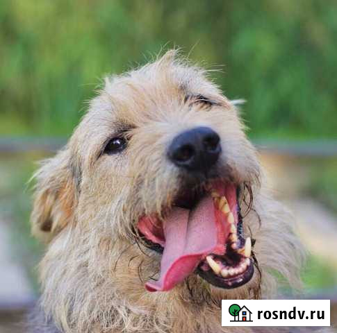 Лёха Одинцово - изображение 1