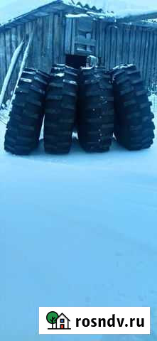 Ободрыши для караката Вологда - изображение 1