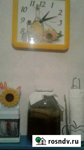 Чайный гриб Новокузнецк - изображение 1