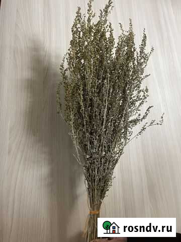Палынь горная Веник (для бани) - Ручной сбор Набережные Челны - изображение 1