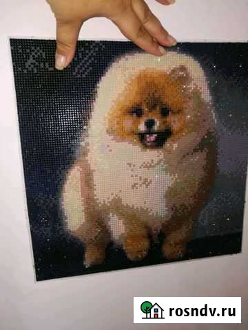 Шпиц(алмазная вышивка) Омск - изображение 1