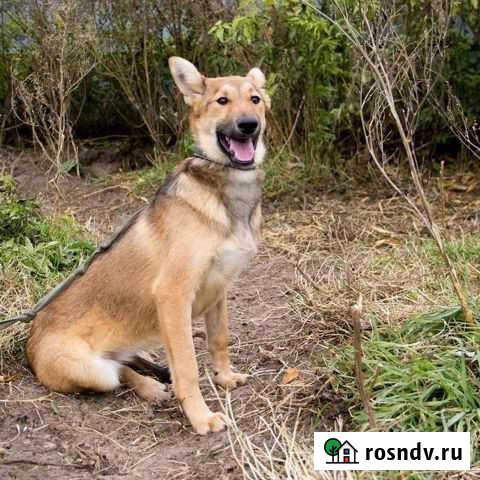 Хлоя Тюмень - изображение 1