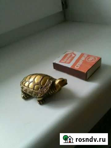 Черепаха Чебоксары - изображение 1