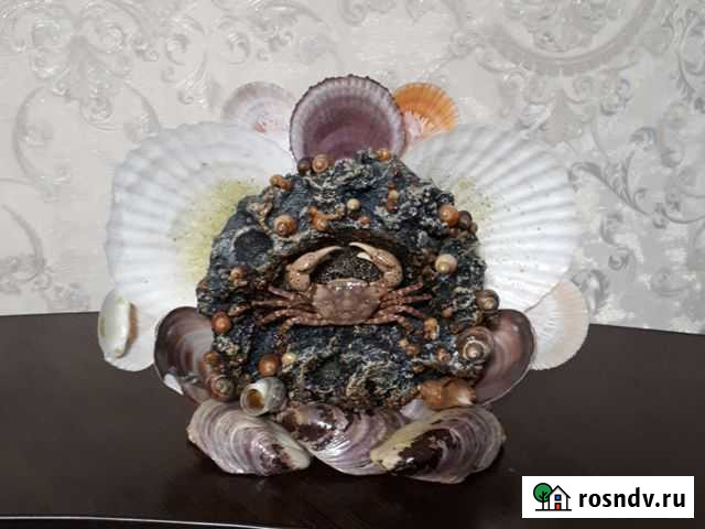 Композиция из ракушек (статуэтка) Чита - изображение 1