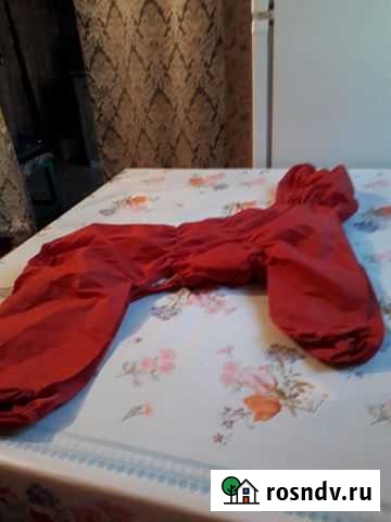 Дождевик для собак Тамбовка - изображение 1