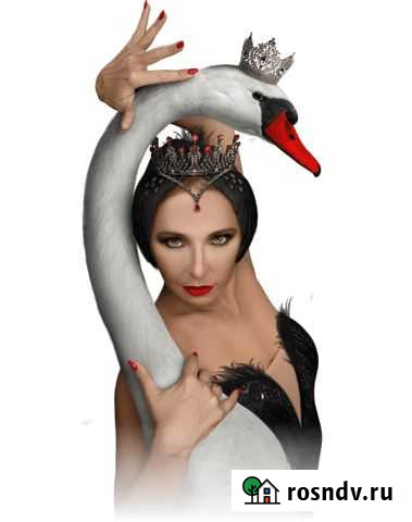 Билеты на Шоу Татьяна Навка Лебединое озеро Москва - изображение 1