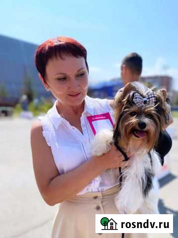 Бивер вязка Чебоксары - изображение 1