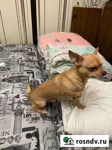 Мальчик ищет девушку Мурманск - изображение 1