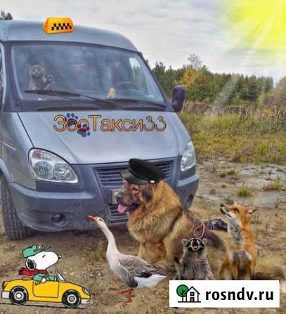 Зоотакси.Перевозка животных Ковров - изображение 1