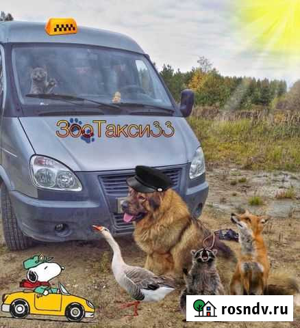 Зоотакси.Перевозка животных Ковров - изображение 1