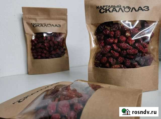 Шиповник Кирово-Чепецк - изображение 1