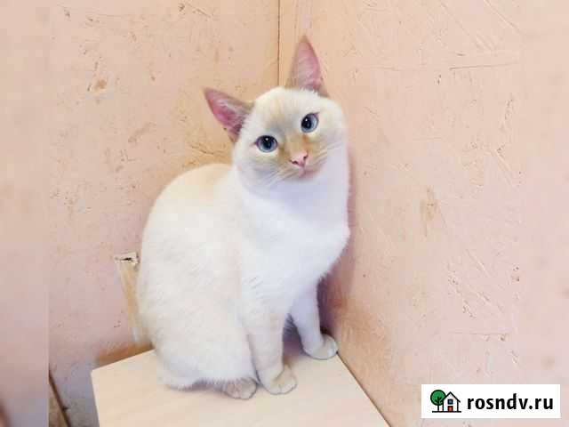 Торнадо. Парень - ураган, 1 год Екатеринбург - изображение 1